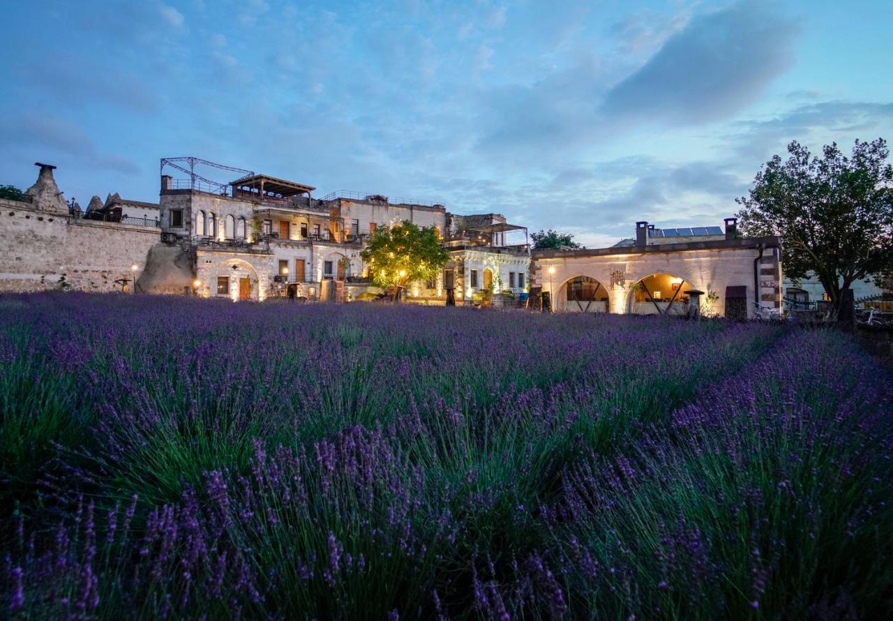 Design Cave Hotel Γκόρεμε Εξωτερικό φωτογραφία